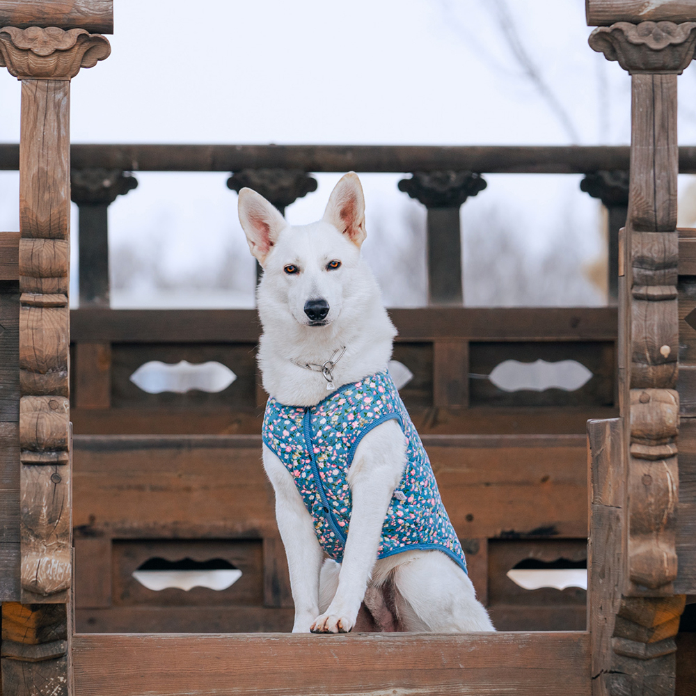 강아지 대형견 김장조끼 할머니 조끼 할매 누빔 양털
